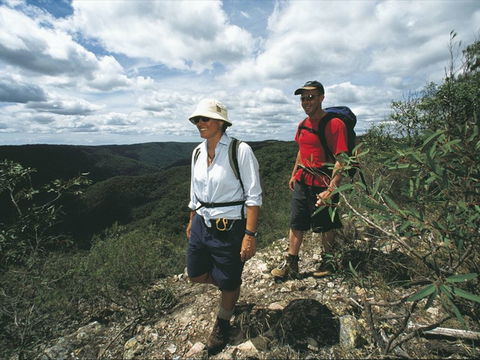 Mapleton - Hotel Accommodation 1