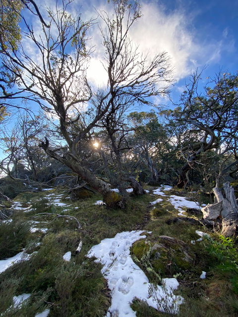 Mount Torbreck Summit Walk - Hotel Accommodation 0