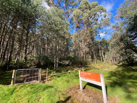 Mount Torbreck Summit Walk - Hotel Accommodation 1