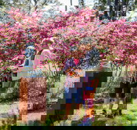 Sculpture at Petana - Hotel Accommodation