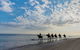 South Coast Experiences - thumb 2