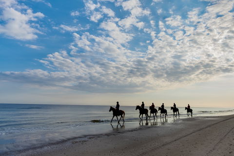 South Coast Experiences - Hotel Accommodation 2