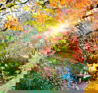 The Blue Mountains Botanic Garden Mount Tomah - Hotel Accommodation