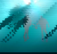 The Arches Marine Sanctuary - Hotel Accommodation