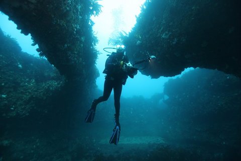 The Arches Marine Sanctuary - Hotel Accommodation 1