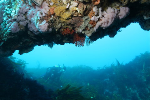 The Arches Marine Sanctuary - Hotel Accommodation 2