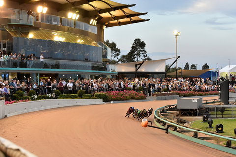 The Meadows - Hotel Accommodation 1