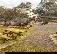 Thredbo River picnic area - Hotel Accommodation