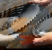 Tuena Panning for Gold