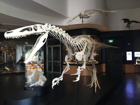 UNE Natural History Museum - Hotel Accommodation 0