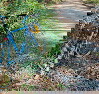 Walter Hood ride from Cudmirrah - Hotel Accommodation