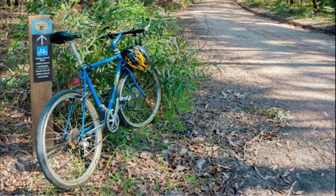 Walter Hood Ride From Cudmirrah - Hotel Accommodation 0