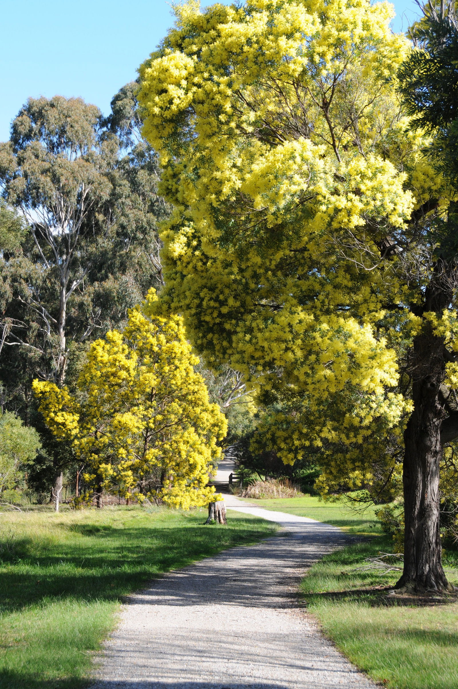 Eastern Melbourne VIC Hotel Accommodation