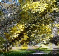 Wattle Park - Hotel Accommodation