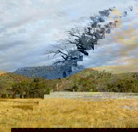 Weddin Mountains National Park - Hotel Accommodation