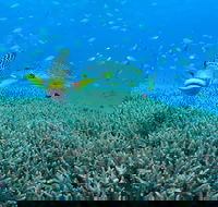 Wreck Bay Dive Site - Hotel Accommodation