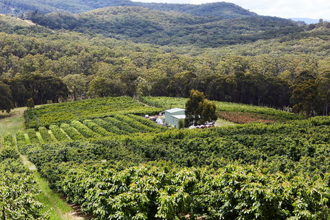 Yarra Valley Cherries - Hotel Accommodation 2