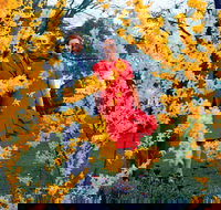 A Changing Australia The Time of Gough Whitlam - Hotel Accommodation