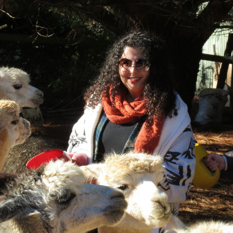Alpaca Farm Experience At Crookwell - Hotel Accommodation 1