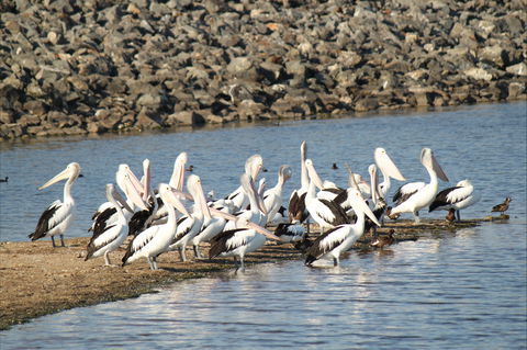 Bjelke-Petersen Dam - Hotel Accommodation 2