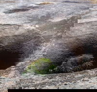 Blowhole and the Rocks - Hotel Accommodation
