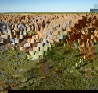 Borroloola - Hotel Accommodation