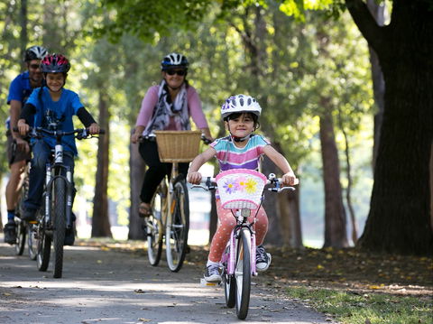 Bright To Wandiligong 5.5km - Hotel Accommodation 0