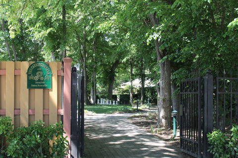 Bungendore Heritage Walk - Hotel Accommodation 0