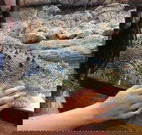Canberra Reptile Zoo - Hotel Accommodation