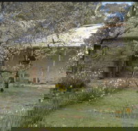 Castlemaine Diggings National Heritage Park - Hotel Accommodation