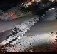 Coral Gardens - Hotel Accommodation