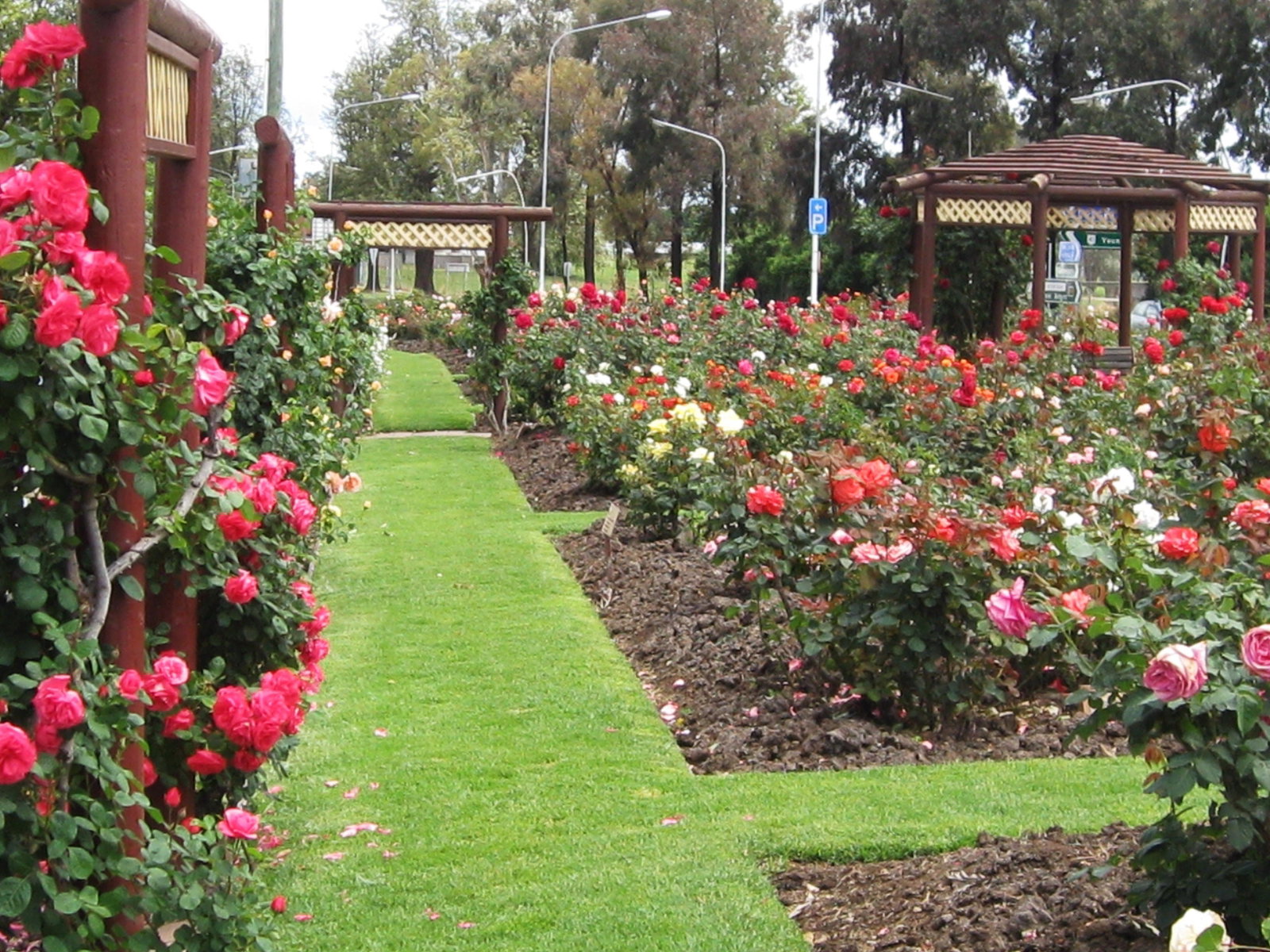 Mount Collins NSW Hotel Accommodation