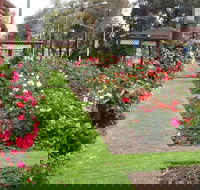 Cowra Rose Garden - Hotel Accommodation