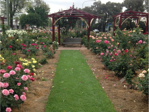 Cowra Rose Garden - Hotel Accommodation 1