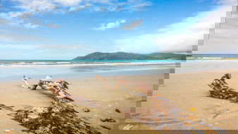 Book Cow Bay QLD Attractions Hotel Accommodation Hotel Accommodation