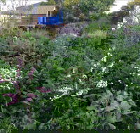 Down to Earth Permaculture - Hotel Accommodation