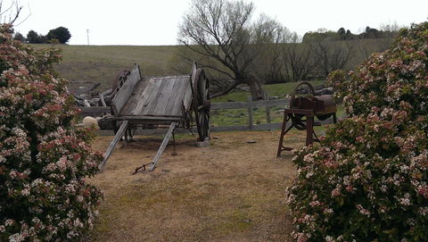 Early Settlers Hut - Hotel Accommodation 2