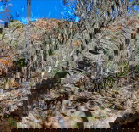 Eualdrie Walking Track - Hotel Accommodation