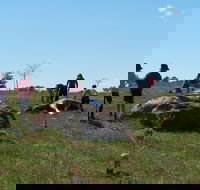 Jim Salmon  Wetland Education Site - Hotel Accommodation