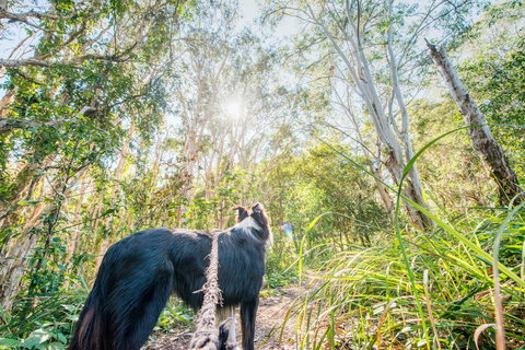 Lamb Island (Nguderoo) - Hotel Accommodation 1