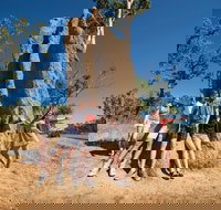 Magnetic Termite Mounds - Hotel Accommodation