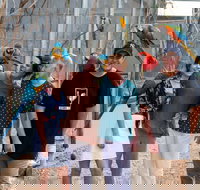 Maleny Botanic Gardens and Bird World - Hotel Accommodation