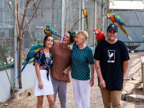 Maleny Botanic Gardens And Bird World - Hotel Accommodation 0
