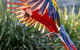 Maleny Botanic Gardens And Bird World - thumb 1
