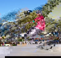 Millicent Skatepark - Hotel Accommodation