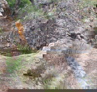 Mill-bullah Walking Track - Hotel Accommodation