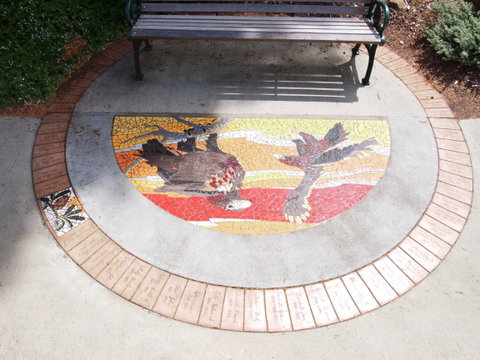 Mosaic Pathway (WASS) - Hotel Accommodation 2
