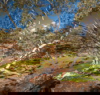 Mount Grenfell Historic Site - Hotel Accommodation