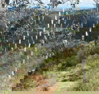 Mount Towac Walk - Hotel Accommodation