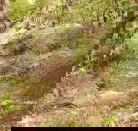 Mount Carnarvon Walking Track - Hotel Accommodation